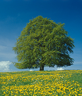 bvm Versorgungslösungen 