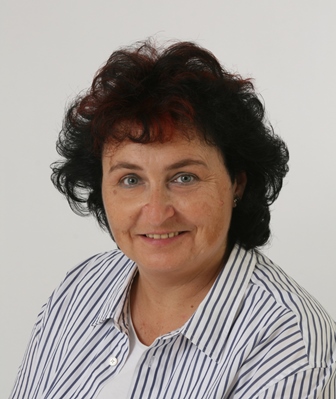 Karin Bartz Karin I. Bartz