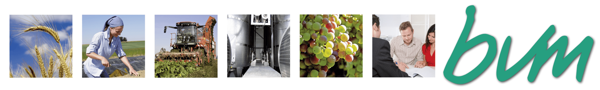 bvm Bartz Versicherungsmakler Logo Web bvm Bartz Versicherungsmakler